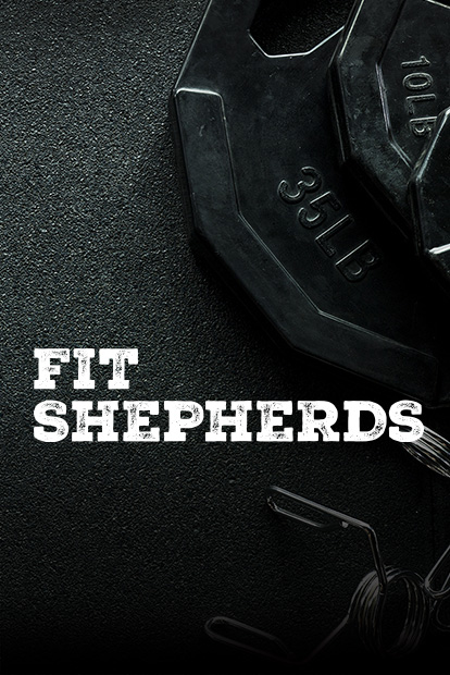 Fit Shepherds